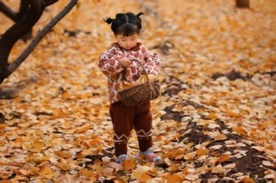 牛年起名字大全女孩_属牛女孩名字洋气的,第3张 牛年起名字大全女孩_属牛女孩名字洋气的,第3张